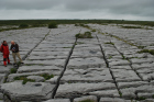 Sheshymore Limestone pavement exposes shallow water carbonates of the Brigantian, Slievenaglasha Formation. These classic kharstified exposures of tabular blocks of limestone pavement, Clints, are cut by vertical fractures, Grikes, which were widened by post glacial disolution (McNamara, & Hennessy, 2010). Fractures were intially established during Variscan folding (Coller, 1984).